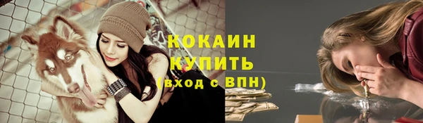 ALPHA PVP Гусь-Хрустальный