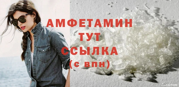стаф Гусев