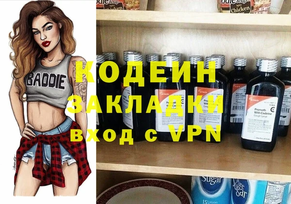 стаф Гусев
